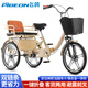 飛鴿飛鴿三輪自行車(chē)老年人力拉貨客兩用可折疊休閑代步騎行腳踏車(chē) 米黃+可折疊+雙鏈條+減震一體輪