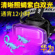Mentch新款照蝎子專用頭燈強光充電超亮雙光源大功率紫光燈超長續(xù)航 620紫光數(shù)顯泛光頭燈