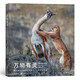 萬(wàn)物有靈：國(guó)際野生生物攝影年賽第55屆獲獎(jiǎng)作品