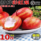 新疆庫爾勒彩虹梨當季新鮮水果整箱果園現(xiàn)摘脆甜紅梨順豐 5斤 【精選中果帶箱】商超品質(zhì)脆甜多