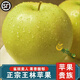 南步山東王林蘋(píng)果 雀斑美人蘋(píng)果日本青森品種水蜜桃平果新鮮水果整箱 精選4.5斤裝 中果【單果80mm+】