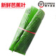 曠古農(nóng)業(yè)【順豐】芭蕉葉 新鮮農(nóng)家香蕉葉 西餐墊盤(pán)裝飾 1500g