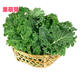 京地達(dá)山東新鮮羽衣甘藍(lán) 凈重2斤 沙拉食材 源頭直發(fā)包郵