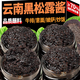 滇品客黑松露調料醬云南特產(chǎn)黑菌菇蘑菇醬拌面拌飯牛排佐餐醬瓶裝 黑松露調味醬100gx2罐