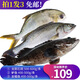 海鮮頌冷凍海鱸魚金鯧魚龍膽石斑魚三去鱸魚生鮮魚類三條裝套餐海鮮水產(chǎn)