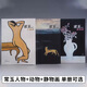 【新版】常玉畫(huà)集3冊 常玉人物畫(huà)+動(dòng)物畫(huà)+靜物畫(huà) 繪畫(huà)賞析繪畫(huà)技法 常玉人物畫(huà)+動(dòng)物畫(huà)+動(dòng)物畫(huà)3冊