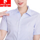 皮爾卡丹（pierre cardin）夏季新品藍(lán)色條紋襯衫女短袖V領(lǐng)工裝工作服職業(yè)襯衣領(lǐng)棉質(zhì)半袖 白底藍(lán)條V領(lǐng)短袖 3XL 建議(140-150斤）