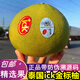 2025新上市泰國ICK金標柚子進(jìn)口金柚蜜柚新鮮水果 大果-金標ICK柚子3個(gè)，單個(gè)750-850克