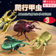 山頭林村發(fā)條甲蟲(chóng)玩具昆蟲(chóng)甲殼蟲(chóng)仿真動(dòng)物獨角仙蟲(chóng)子機械模型男孩兒童女孩 發(fā)條甲蟲(chóng)玩具（3個(gè)裝）