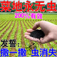 百蟲(chóng)清蔬菜專(zhuān)用殺蟲(chóng)劑無(wú)毒菜園除蟲(chóng)劑菜地蘿卜白青菜辣椒防蟲(chóng)顆粒 1袋裝【菜蟲(chóng)一撒死】