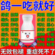 鴿子專用藥大全鴿藥拉稀綠便水便歪頭藥鴿子常見病鴿瘟新城疫 1瓶裝【體驗裝】