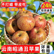 逮果云南昭通紅露丑蘋(píng)果冰糖心嘎啦蘋(píng)果時(shí)令新鮮脆甜水果紅富士禮盒裝 中果 5斤（70-75mm）