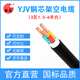 國超電纜 YJV-0.6/1KV-3*6銅芯國標(biāo)戶外防老化3芯新能源汽車充電樁電力電纜1米【現(xiàn)貨】