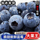 果燃彬彬藍(lán)莓鮮果【順豐速發(fā)】新鮮水果當(dāng)季藍(lán)梅云南高山怡顆孕婦輔食禮盒 精選16mm以上--12盒 每盒-125g