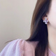 伊燦小眾鋯石花朵耳釘女高級(jí)感耳夾無(wú)耳洞耳環(huán)2025年新款爆款氣質(zhì)耳飾 小眾設(shè)計(jì)感紫色鋯石花朵耳釘
