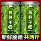 牧野情萵筍干商用農家自制萵苣干500g干貨級特土特產(chǎn)脫水蔬菜青筍窩筍脆 (A級)(2罐)萵筍干(500g)