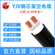 國超電纜 YJV-0.6/1KV-2*10銅芯國標架空戶(hù)外防老化2芯電力電纜 1米【現貨】
