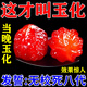 SNQP文玩上色專用包漿玉化油核桃玉竹手串葫蘆快速玉化保養(yǎng)專用防裂油 核桃菩提上色【單瓶裝】