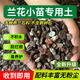 花大師蘭花植料純顆粒蘭花專用土盆栽土種植營養(yǎng)土養(yǎng)花小石頭透氣不爛根 小苗幼苗蘭花土8升