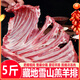 褚系嚴(yán)選【空運(yùn)】羊肉生鮮 原切小羔羊排腿 正宗藏地高原羊肉火鍋食材禮盒 藏地高原藏細(xì)羊 5斤 羊排