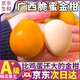 田良季融安脆蜜金桔金柑【第三代-JD/順豐多地次日達】廣西水果年貨送禮 果王15-18個(gè)/斤 送禮有面巨甜 5斤精品裝【蕞劃算】?jì)?.5斤