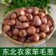 東北毛蔥頭小苯新鮮大的東北特產(chǎn)小洋蔥小紅蔥頭 5斤