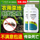 皎潔螞蟻藥菜地農(nóng)用戶外室外家用全窩一鍋殺螞蟻除滅蟻端殺專用殺蟲劑 500g 2瓶 【送殺蟻粉劑】不傷菜園