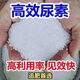 化肥蔬菜肥料種菜果樹(shù)有機肥氮肥顆粒通用花卉正品尿素鉀肥種花 蔬菜肥料種菜（售完為止） （10/斤）大顆粒/高吸收/肥效長(cháng)達90天