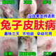 新寵之康兔子皮膚病藥噴霧兔癬藥噴劑真菌感染殺腳皮炎兔癬兔蘚藥兔子掉毛 單瓶裝【100毫升】輕度適用