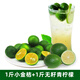 果齋園 金桔檸檬組合2斤裝  新鮮金桔檸檬水果 奶茶店專(zhuān)用 金桔檸檬組合2斤 發(fā)圓通