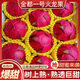 譯優(yōu)農(nóng)海南紅心火龍果金都一號(hào)新鮮水果大紅肉蜜寶生鮮現(xiàn)貨現(xiàn)摘整箱 凈重5斤中果約7-10個(gè)【實(shí)惠裝】