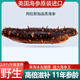 美國海參阿拉斯加進(jìn)口紅極參北極紅參鮮俄羅斯野生加拿大即食海參 11年參齡半斤1-2只【償償鮮】
