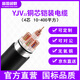 富國(guó)超群電線電纜線 YJV22 4*10平方國(guó)標(biāo)地埋防老化4芯電力電纜 1米【現(xiàn)貨】