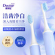 牙博士白白熊電動(dòng)牙刷成人便攜式全自動(dòng)防水智能聲波震動(dòng)情侶軟毛電池 1支帶防塵蓋【贈(zèng)2粒電池】新品馬上漲價(jià)