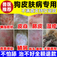 狗狗皮膚病專用藥狗癬真菌感染潰爛皮炎瘙癢螨蟲掉毛濕疹外用噴劑 買2 送1【實發(fā)3盒】