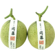 京果怡人海南玫瓏蜜瓜 靜岡網(wǎng)紋蜜瓜軟糯香甜冰淇淋網(wǎng)紋蜜瓜新鮮水果 2顆裝（單果2.5斤左右）