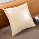 舒享室光輕奢高級感象紋皮抱枕沙發(fā)客廳靠墊枕套不含芯牛皮仿真皮靠枕靠背 象紋皮-奶白 50*50cm（枕套+枕芯）