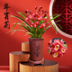 劉閣蘭花蘭花大花蕙蘭紅寶石冬季開(kāi)花濃香花卉盆栽4苗連體裸根源頭直發(fā)