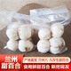 小馬樂(lè )活2025年新貨 甘肅特產(chǎn)百合新鮮 蘭州鮮百合 蔬菜甜百合 現挖現發(fā) 經(jīng)濟8頭皇*2袋1斤 2025新貨蘭州鮮百合