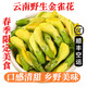 【順豐】新鮮金雀花 云南特產(chǎn)食用花陽(yáng)雀花野菜 時(shí)令蔬菜 金雀花250g 精選