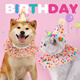 逸兼狗狗生日帽寵物頭套狗圍兜小狗帽子可愛生日裝飾貓咪頭飾拍照道具 寵物波點套裝【米色帽子+圍兜】 (貓犬通用，大型犬和貓注意尺寸)