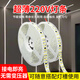 梵耀 LED燈帶 220V裸板貼片燈條 免驅(qū)動(dòng)接電高壓線條燈 1米-240珠-白光