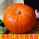 柚蘿海南紅皮南瓜貝貝萬圣節(jié)燈籠雕花金倭瓜輔食甜軟糯板栗味紅南瓜 1顆裝【 2.5斤 -3.5】斤精選果
