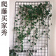 藤蔓花架山烏龜爬藤架鐵藝網(wǎng)格北歐風(fēng)爬藤網(wǎng)格室內軟裝藤蔓植物爬墻網(wǎng)裝飾 白色50X30cm加粗型 中等 黑色150X100cm加粗型2片