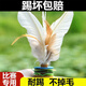潮思匯毽子雞毛鍵子成人兒童訓練比賽花毽大白毽球耐踢羽小學(xué)生牛筋底毽 直發(fā)【超耐踢】訓練比賽大白毽 五個(gè)大白毽【升級款劃算】