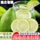 京極鮮  海南無籽香水檸檬青檸檬薄皮清香新鮮水果檸檬奶茶店專供整箱 5斤香水檸檬【果香濃郁】