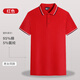 純棉工作服翻領(lǐng)團體定制t恤短袖文化衫定做工衣服裝男女刺繡印字 【B款】一紅色 XL