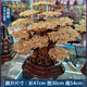 菲斯鉑亞發(fā)財樹黃水晶擺件開業(yè)賀禮前臺家居客廳裝飾品電視柜招財搖錢樹 （招財）天然黃水晶_大榕樹