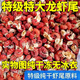 特級大號龍蝦尾新鮮活蝦去頭冷凍龍蝦尾凈重無(wú)冰衣蝦尾特大號特大 特級特大號【一斤90粒左右】 3斤裝【實(shí)惠價(jià)】無(wú)冰衣