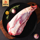 君博牛業(yè)（JUNBO CATTLE） 君博牛業(yè) 國產(chǎn)黑毛和牛-全程谷飼牛腱子1000g